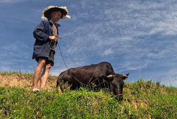 Insurance coverage for Agriculture to Grow in China